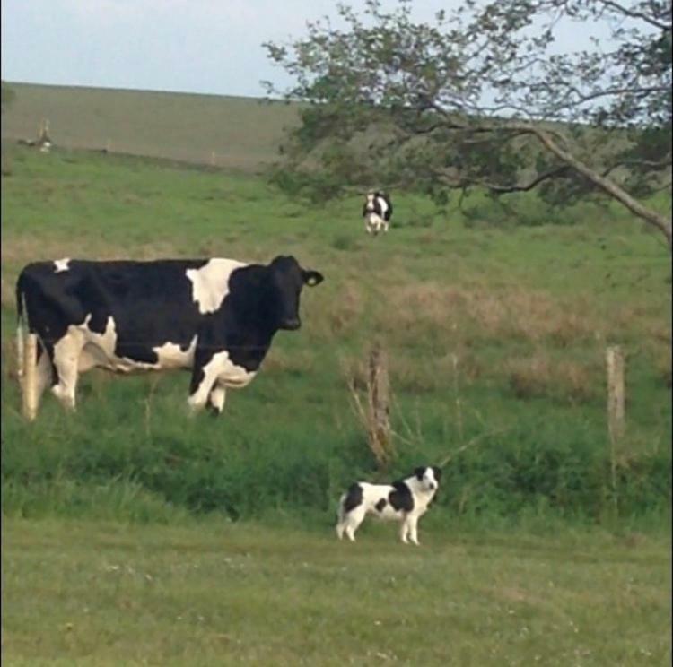 Thistledown - Ballina - Crossmolina - County Mayo - Sleeps 8 - Sister Property To Inglewood מראה חיצוני תמונה