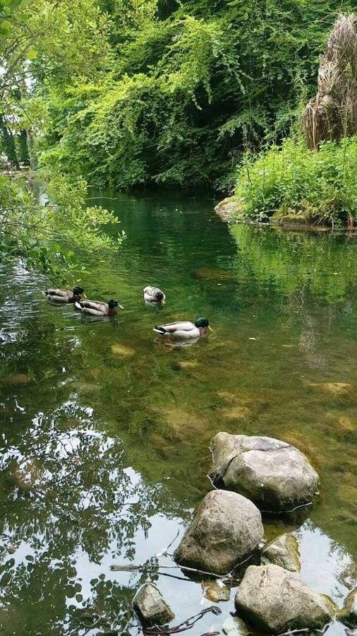 Thistledown - Ballina - Crossmolina - County Mayo - Sleeps 8 - Sister Property To Inglewood מראה חיצוני תמונה