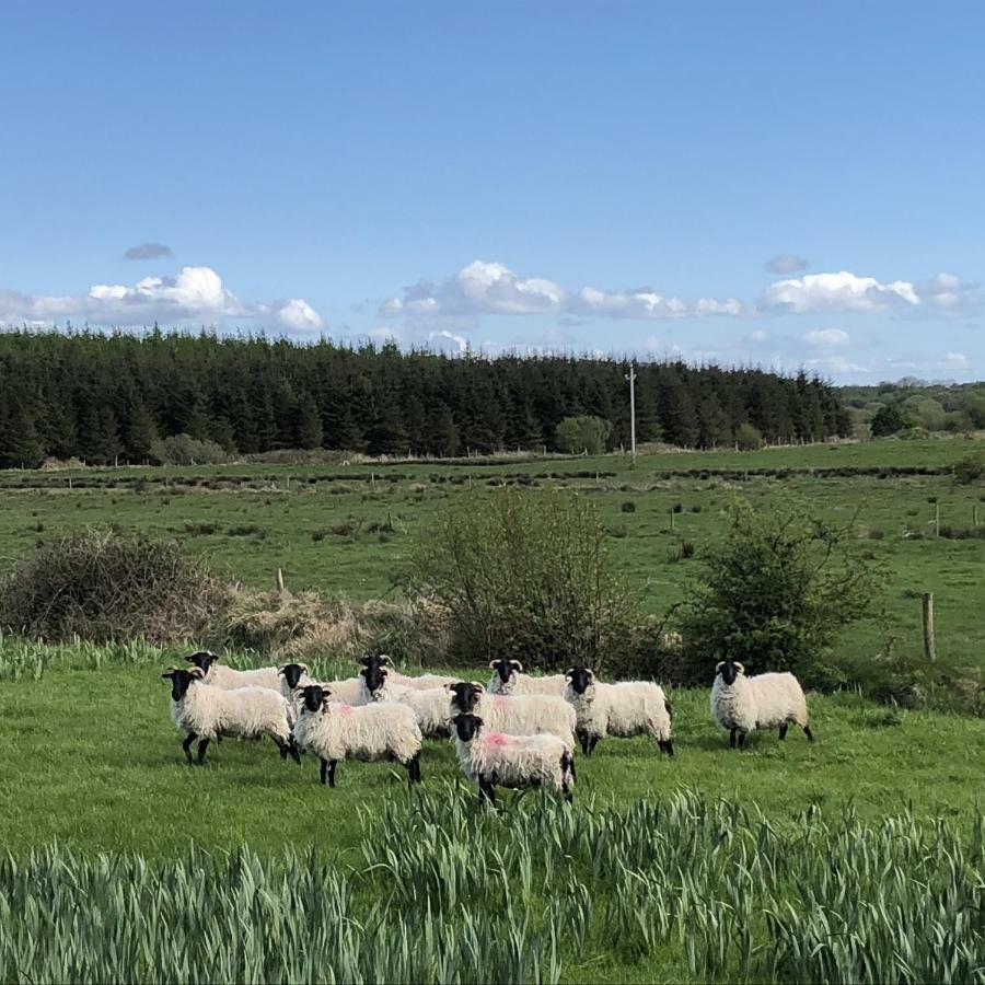 Thistledown - Ballina - Crossmolina - County Mayo - Sleeps 8 - Sister Property To Inglewood מראה חיצוני תמונה